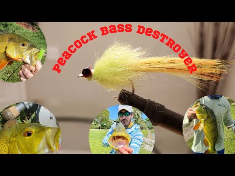 How to Tie a Peacock Bass Fly 