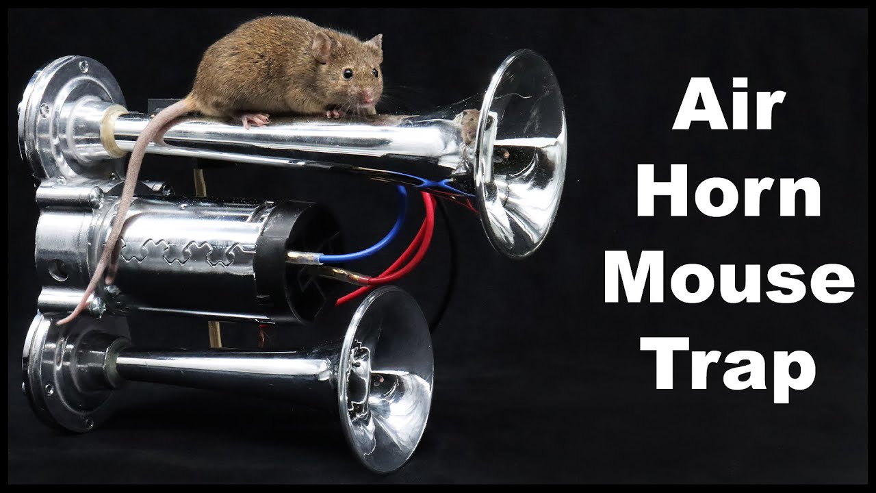 End The Nightmare with the Electric Kitty Mouse Trap. Mousetrap Monday 