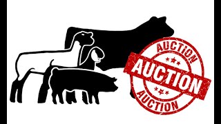 Livestock Auction-Lamb, Steer, and Swine 11/13/25