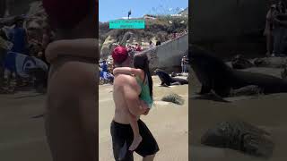 Sea Lion Shows Whos The Boss On The Beach 😱