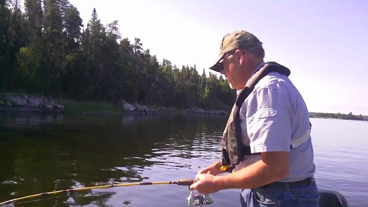 How To Catch Walleye Using A Dropshot Rig YouTube