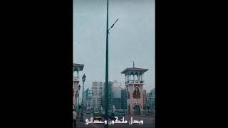 حالات واتس حمزة نمرة _ فاضى شوية 2021