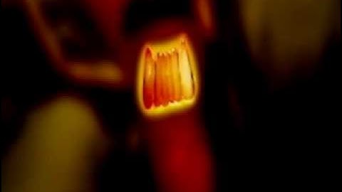 BBC The Missing Link 5