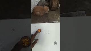 Electric Men Stadar Kalkshan On The Motar Kalkshan