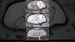 Skinless Symphonies Animation process part.4