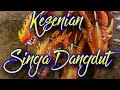 Kesenian Wong Dermayu Singa Dangdut