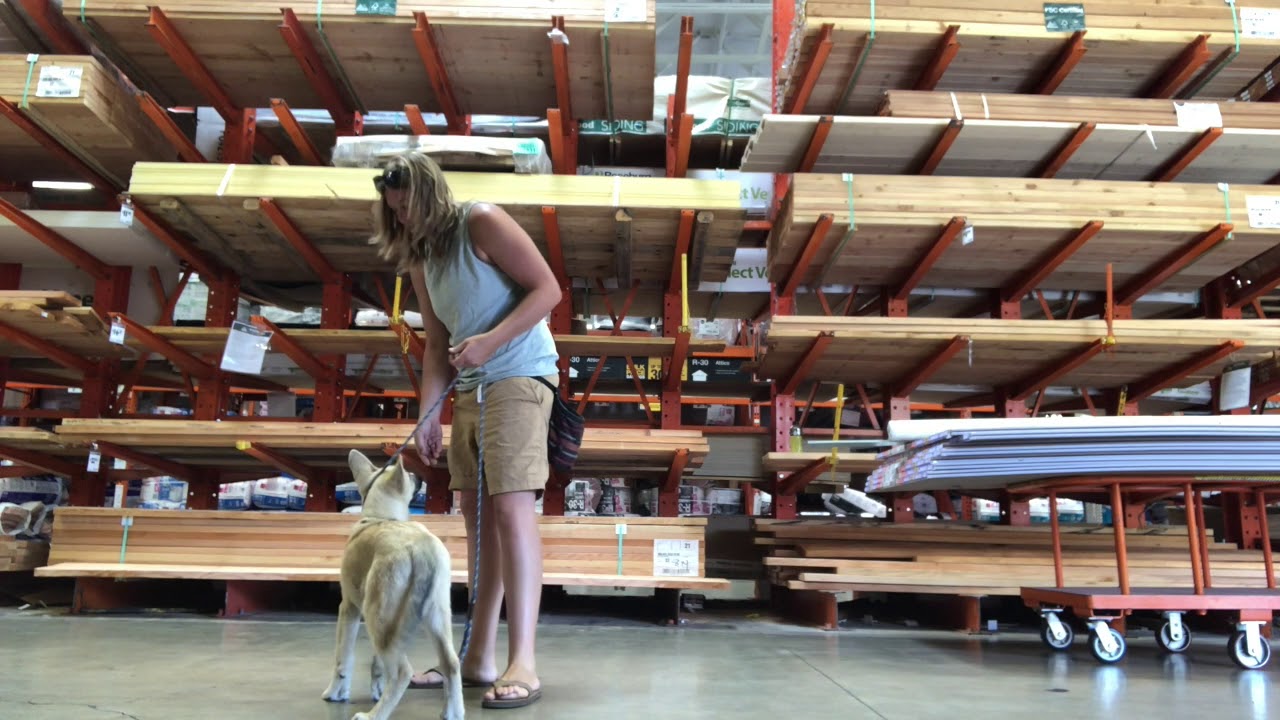 Kona working at home depot YouTube