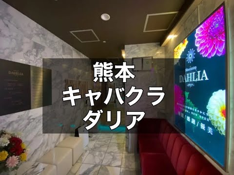 熊本キャバクラ　店内紹介【ダリア （DAHLIA)】