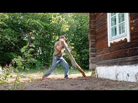 Облагораживаю территорию на хуторе, корчую сирень, устраиваю кострище, навожу порядок. №6