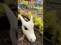 3D Printed Charizard Skull Transformation Plastic to Stone #3dprinting #diy