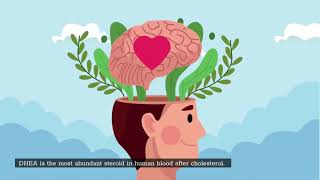 A GUIDE TO ASHWAGANDHA FOR MEN" | The Best Herb for Male Health & Performance?