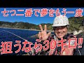 クエ【アラ】 宮崎県 幸島　七つ二番で30キロクラスの大物を‼👍 Monster 30kg Grouper Caught at Koujima, Miyazaki!