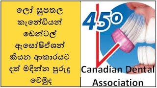 How To Brush Teeth Properly