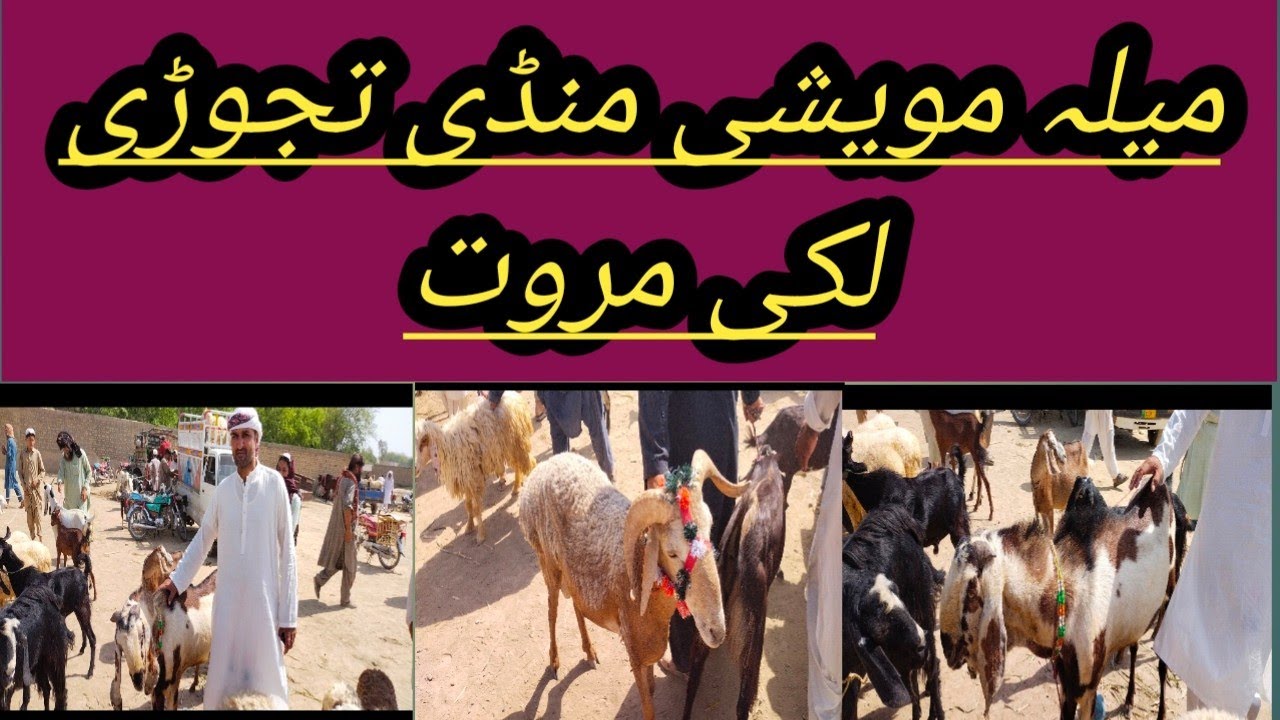 Tajori mela maweshi | Tajori Mela|Bakra Eid || Mela in Tajori lakki marwat||Animals prices in Tajori
