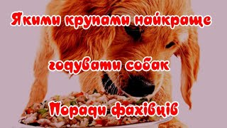 What cereals are the best to feed dogs Advice from experts by Жива Планета 261 views 2 months ago 4 minutes, 32 seconds