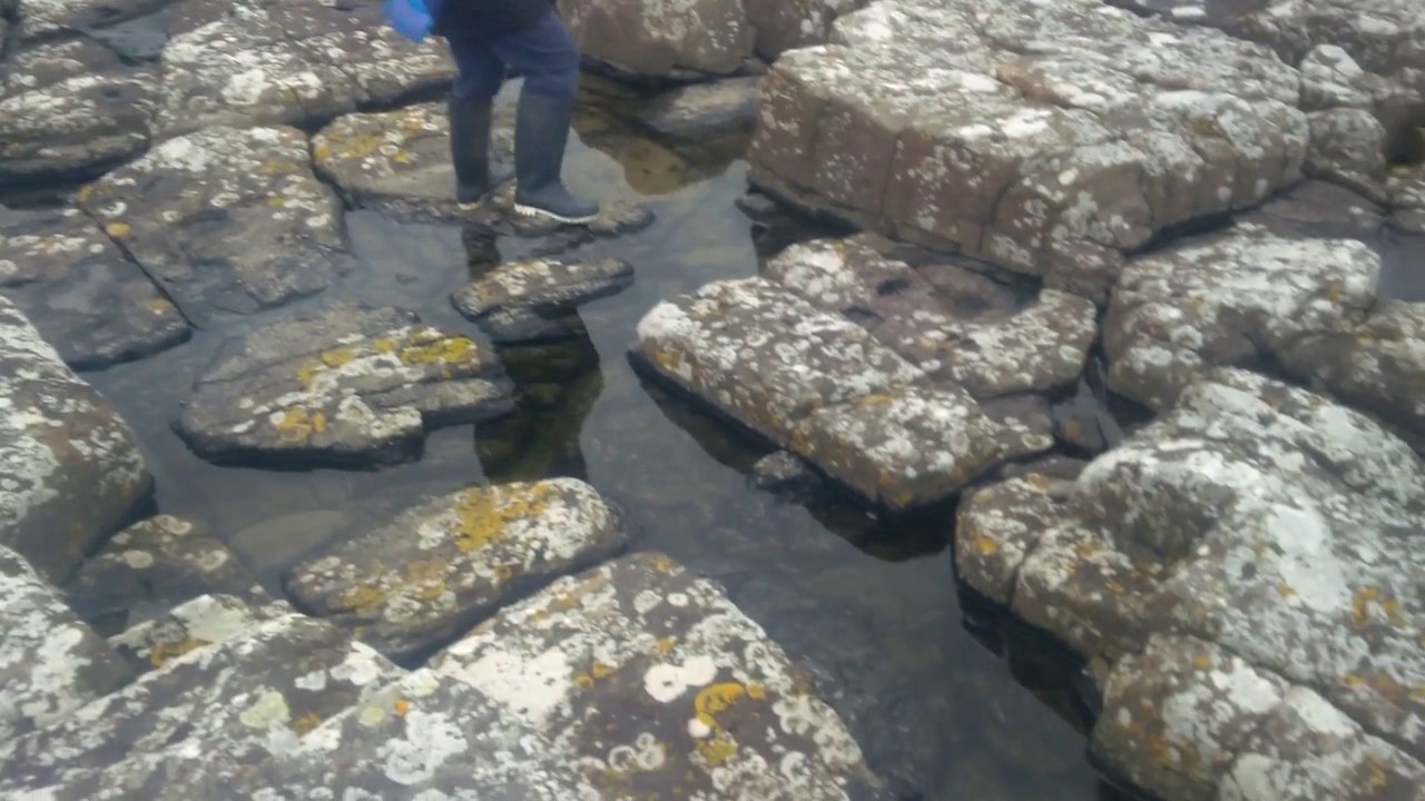 Short Circular Walk Near Craster, Northumberland