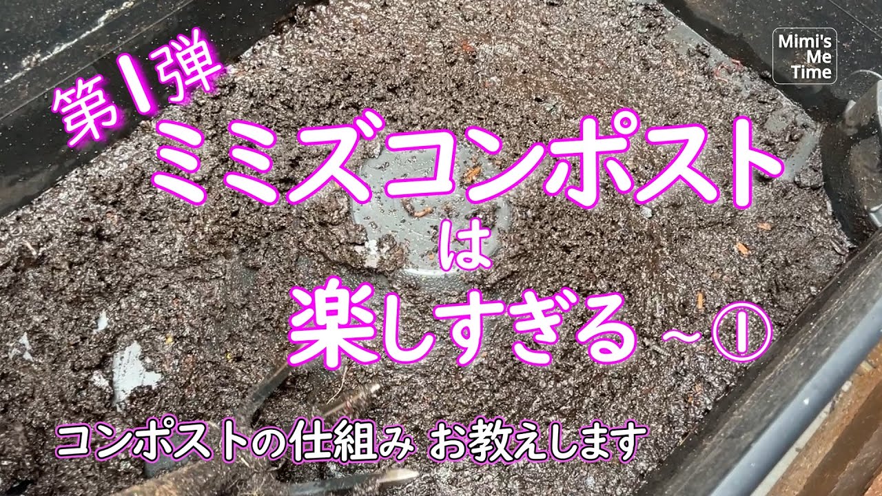 暮らしを楽しもう! ミミズコンポスト#１|家庭菜園| 小さなエコライフ| 50代からの暮らしの楽しみ方 【メルボルン暮らし】