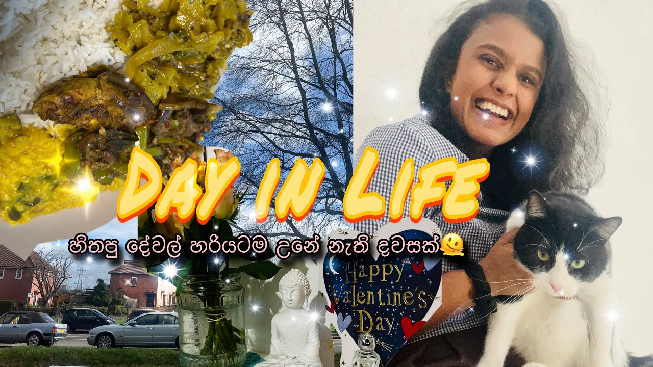 හිතපු දේවල් හරියටම උනේ නැති දවසක්..🫠 day in my life 