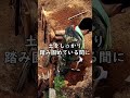 古民家の隣の崖が剥き出しすぎる #shorts #古民家 #アウトドア #古民家暮らし
