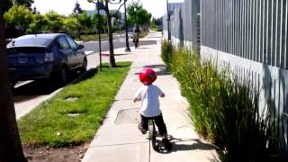Lester Rode His Bike All The Way To The Park