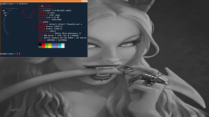 PekWM FreeBSD Desktop