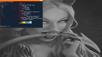 PekWM FreeBSD Desktop