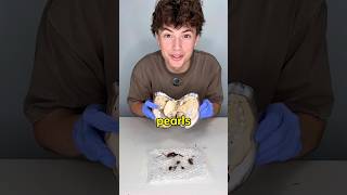 No Way I Found These?