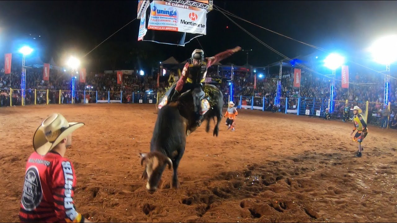 Boiada João Inácio se apresentando no Rodeio de Tapejara-PR 2019 - YouTube