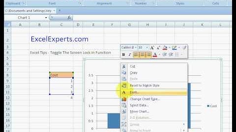 ExcelExperts.com - Excel Tips - Toggle The Screen Lock In Function