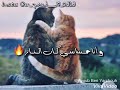 حراااام انا ما سويت لك شي حراااام انا ما سويت لك شي