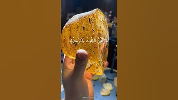 قرآن كريم كأنهن الياقوت والمرجان