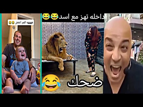 بتهزر مع الاسد عادي كدا فيديوهات للضحك فقط Funny مواقف كوميدي Comedy Funny Funnyvideo 