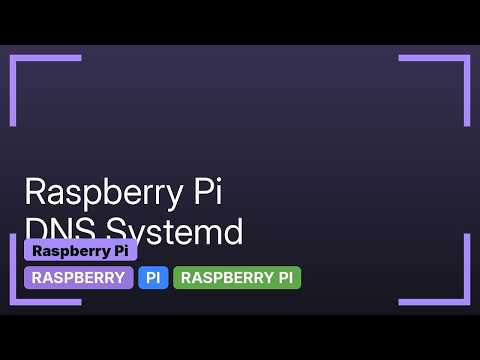Raspberry Pi: networkd DNS issues (cannot resolve pip name)