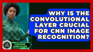 Why Is The Convolutional Layer Crucial For CNN Image Recognition?