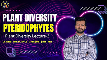 Plant Diversity | Pteridophytes | CSIR NET Life Science | Diversity Of Life Forms