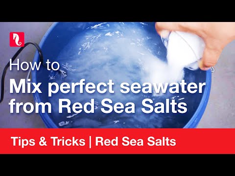 Video: Te îmbolnăvește marea roșie?