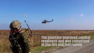 2nd ANGLICO conducts fast rope, live fire training