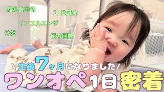 生後7ヶ月になった赤ちゃんの1日 【ワンオペ】離乳食中期 / もぐもぐ期 / 1日2回食 / 混合育児 / インフル！？