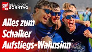 Schalke ist zurück: Jetzt plant Königsblau die Bundesliga | BILD Sport TV