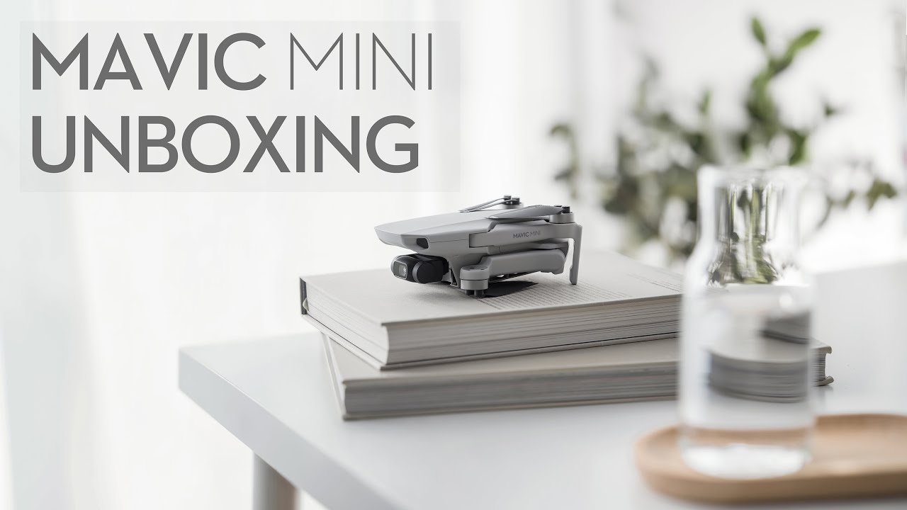 Mavic Mini: Unboxing and Highlights - DJI Guides