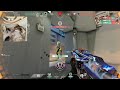 Primmie x Snappy aimers
