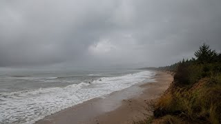 Heavy Rain on Stormy Beach • Wild Ocean Waves Ambience | RÆIN