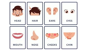 "Facial Features Fun: Learn and Explore!"