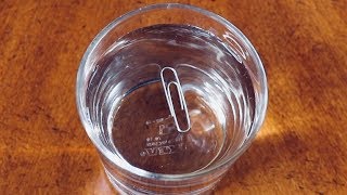 How to Make a Paper Clip Float on Water