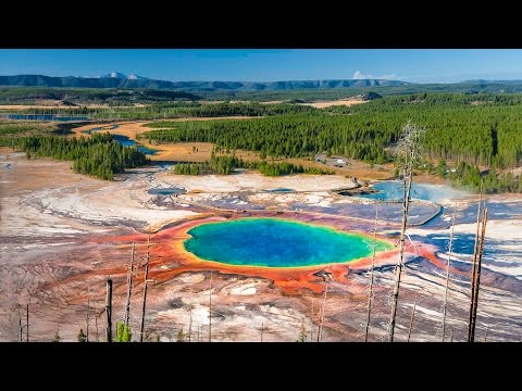 Video: Drumețul Yellowstone Ucis De Mama Grizzly - Matador Network