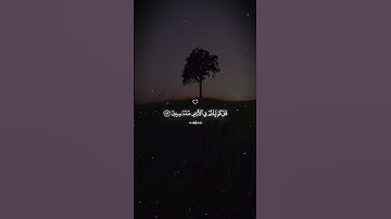 ﴿إِنِّي جَزَيْتُهُمُ الْيَوْمَ بِمَا صَبَرُوا﴾ | تلاوة مؤثرة من سورة المؤمنون #اسلام_صبحي #قرآن