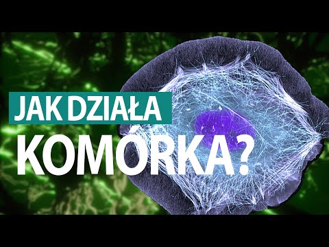 Wideo: Jak poruszają się komórki?