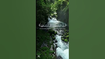 استمع 20 ثانية من القرآن الكريم بصوت الشيخ ياسر الدوسري #المصحف #اللهم_صل_وسلم_على_نبينا_محمد #قرآن