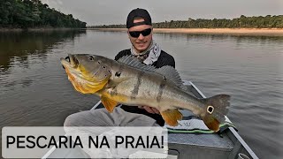 TROFÉU DO FINAL DA TARDE NA PRAIA! PESCARIA DE TUCUNARÉ INSANA! @alien_fishing_oficial