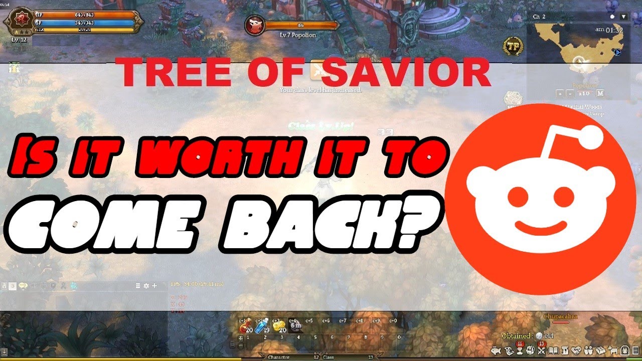 Is It Worth It To Come Back? - Tree Of Savior